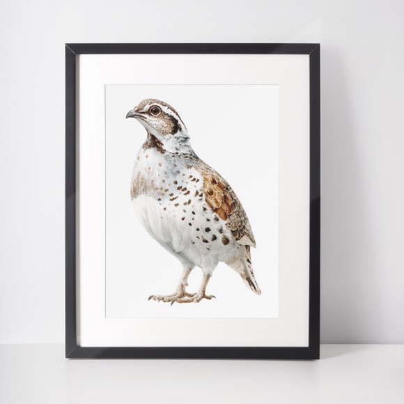 Watercolor Quail Wall Art Print, Unframed - Vibrant Nature-Inspired Home Decor - Picture 3 of 6